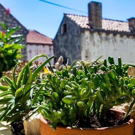 Apartment Hladilo "Nostalgia" Dubrovnik Ngoại thất bức ảnh